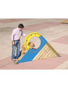Roue pour parcours canin