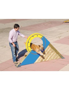 Roue pour parcours canin 2