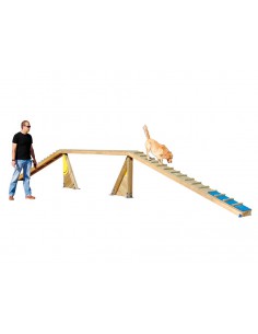 Passerelle pour parcours canin