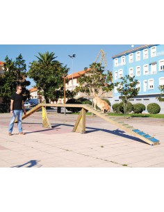 Passerelle pour parcours canin 2
