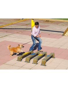 Saut en longueur pour parcours canin