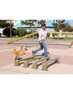 Saut en longueur pour parcours canin 2