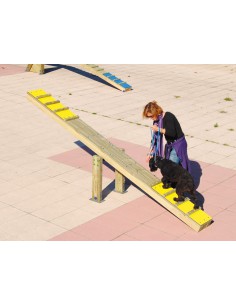 Balancier pour parcours canin 2